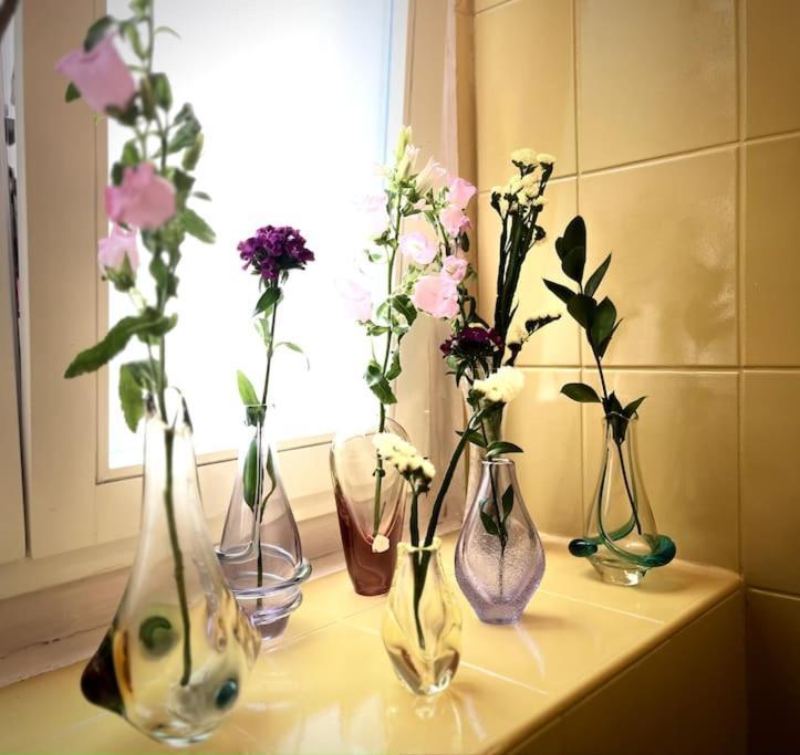 Sunny City - Apartment In Spa Zone With Private Garage Karlowe Wary Zewnętrze zdjęcie